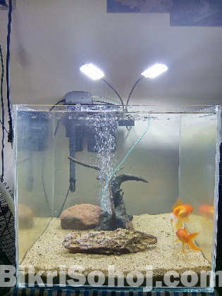 Crystal clear Aquarium full setup